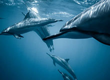 开云体育-在起伏中学会把过程打扎实 王欣瑜:我要表扬自己